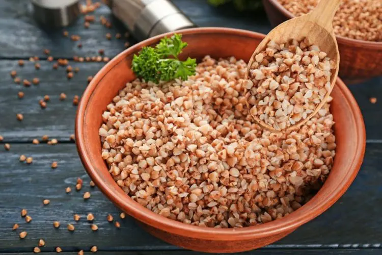 Дієтологи розповіли, чому гречана каша є одним із найцінніших продуктів для здоров’я