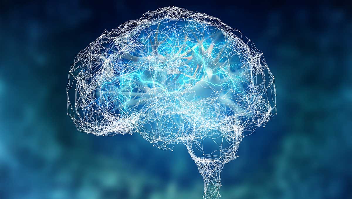 Нове дослідження: чоловічий мозок старіє швидше, ніж жіночий – чому так відбувається