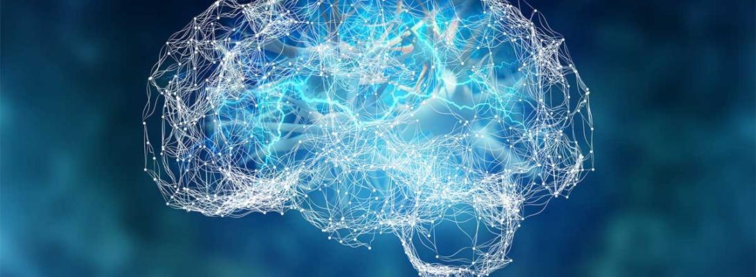 Нове дослідження: чоловічий мозок старіє швидше, ніж жіночий – чому так відбувається