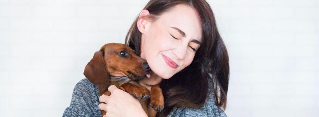 Найвпертіші породи собак: чому вони не слухаються, але стають найвідданішими друзями