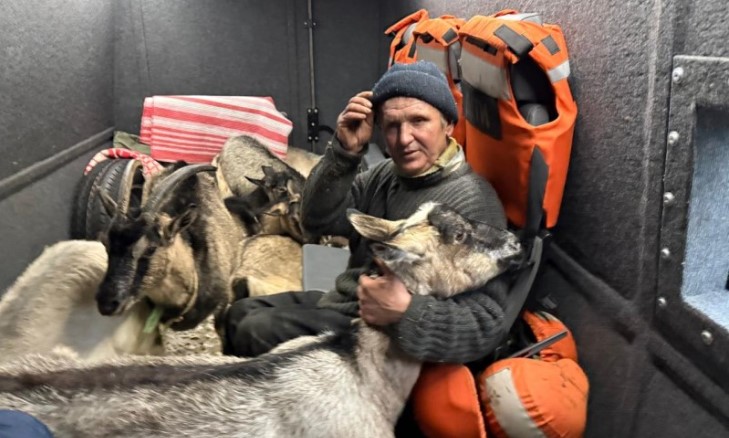 Історія, яка розчулила країну! На Сумщині поліцейські евакуювали чоловіка та його 11 кіз