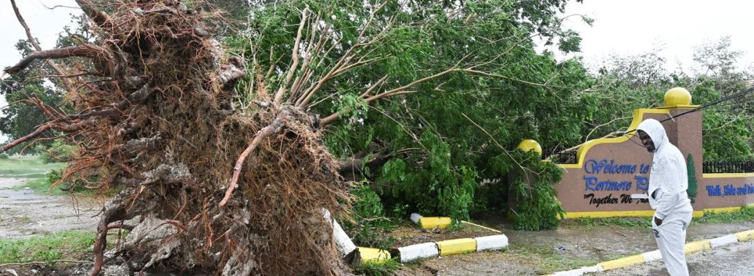 Пів мільйона евакуйованих і сотні тисяч без світла: ураган "Мелісса" вдарив по Карибах