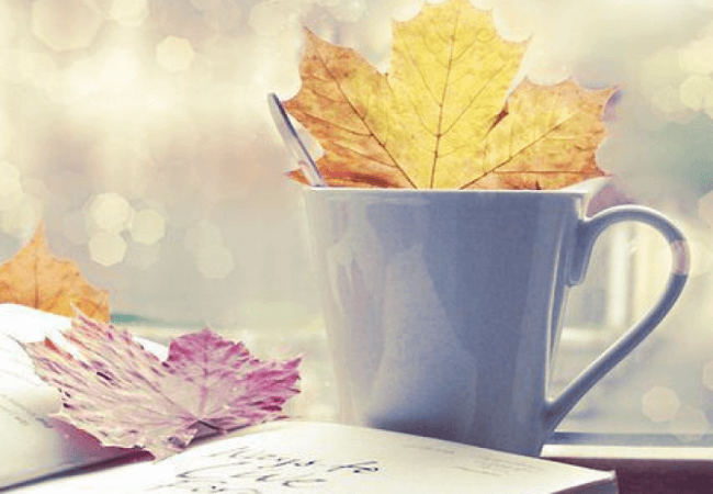 Головні принципи харчування в міжсезоння: як підтримати імунітет та уникнути авітамінозу