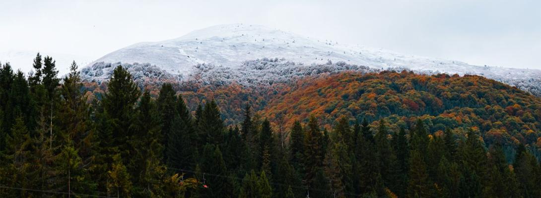 Карпати накрив шторм: рятувальники пояснили, що коїться на високогір’ї: подробиці