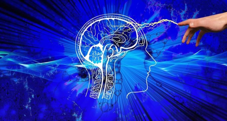 Не ігноруйте перші дзвіночки: ранні ознаки інсульту, що допоможуть урятувати життя