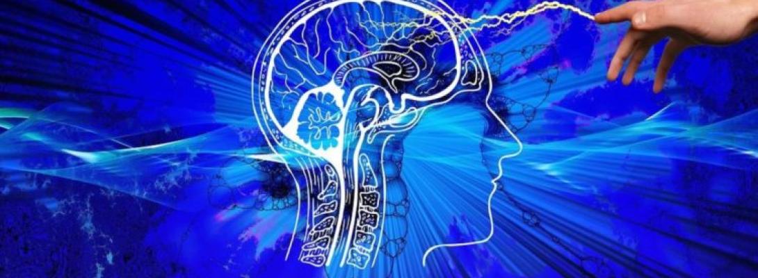 Не ігноруйте перші дзвіночки: ранні ознаки інсульту, що допоможуть урятувати життя