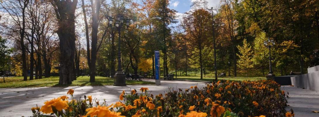 Листопад несе в Україну сонце: синоптик сказала, де на вихідних буде найтепліше