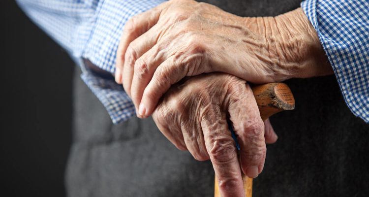 Таємницю молодості розкрито: вчені знайшли  природний механізм захисту від старіння