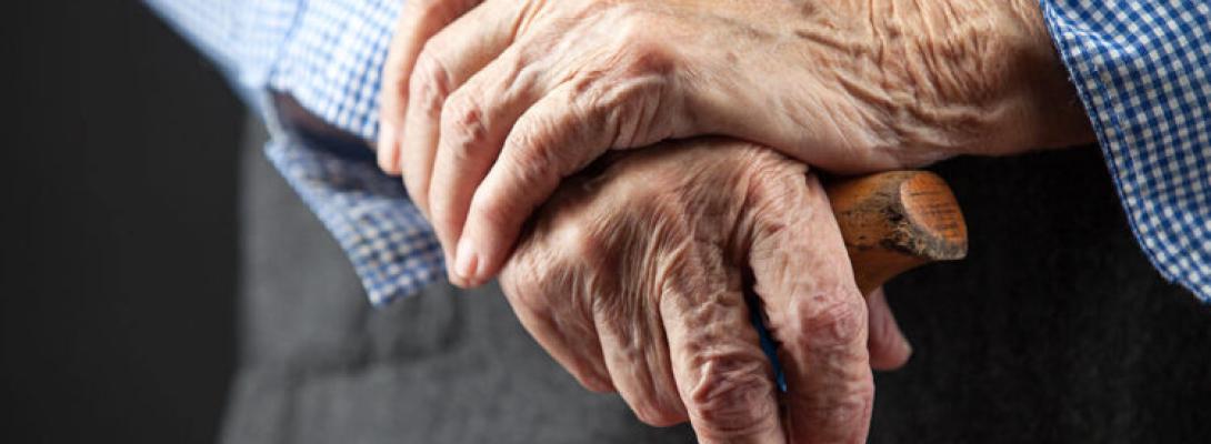 Таємницю молодості розкрито: вчені знайшли  природний механізм захисту від старіння