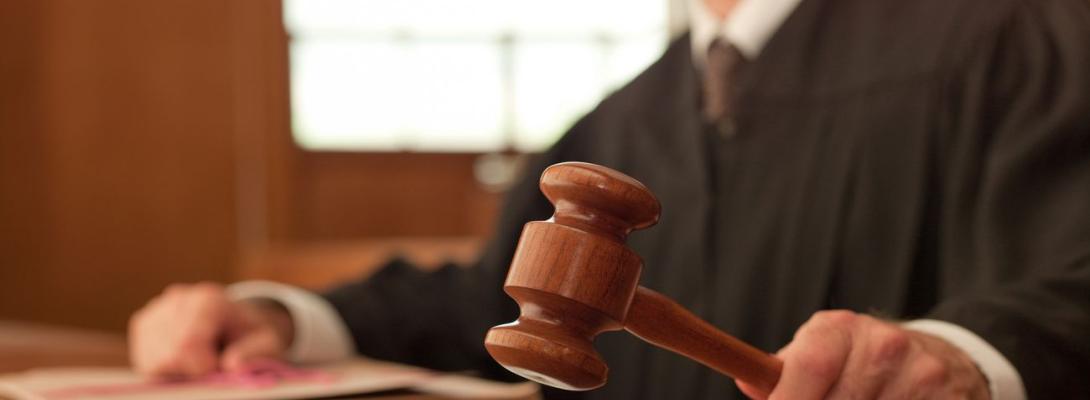 Екс-директора агропідприємства засуджено до 7,5 років за рейдерське захоплення компанії