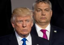 Розкрито, про що Орбан говоритиме з Трампом: ЗМІ дізналися деталі майбутньої зустрічі