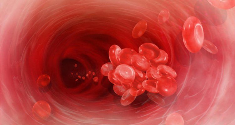 Природний щит: лікар розповів, які продукти здатні зменшити ризик утворення тромбів