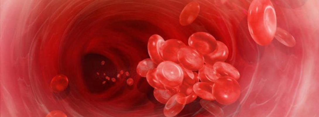 Природний щит: лікар розповів, які продукти здатні зменшити ризик утворення тромбів