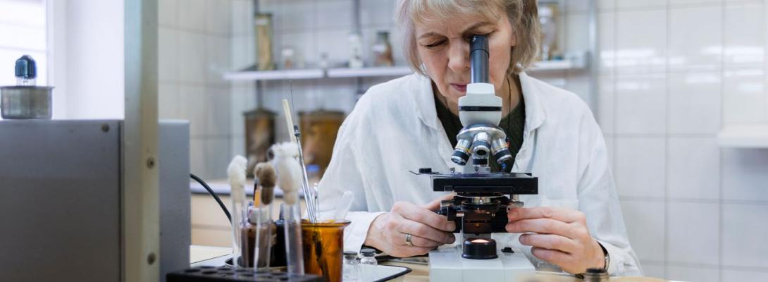 У Київській області зафіксували пташиний грип: хто переносник і як вберегти господарство