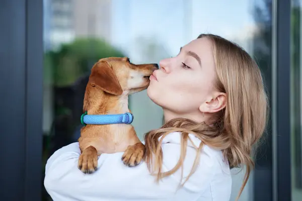 Поцілунки з домашніми тваринами можуть бути небезпечними для вашого здоров’я