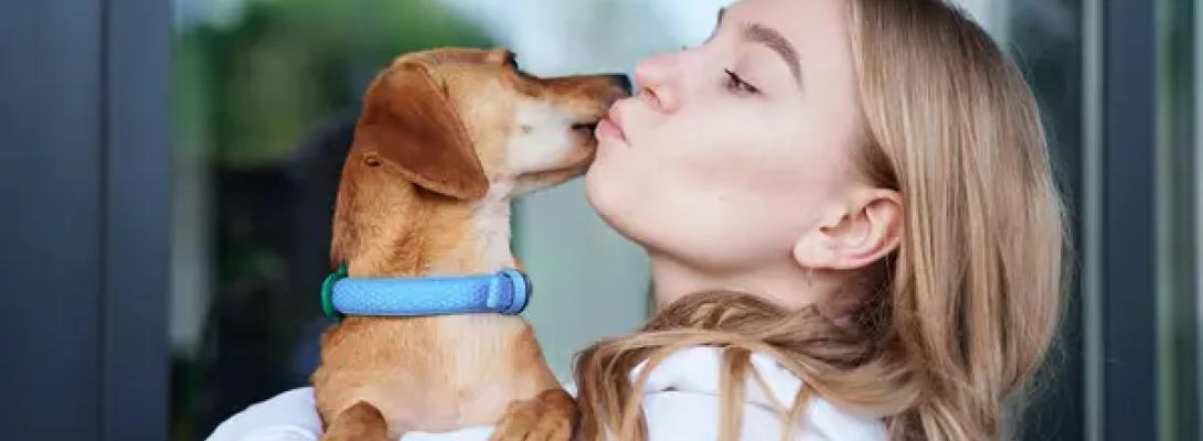 Поцілунки з домашніми тваринами можуть бути небезпечними для вашого здоров’я