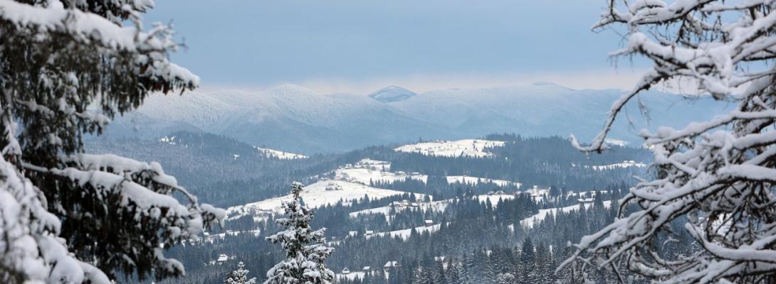 Снігопад накрив частину України: які області засипало та яка зараз ситуація на дорогах