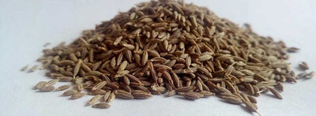 Як звична спеція на вашій кухні може знизити холестерин: відкриття, яке здивує всіх