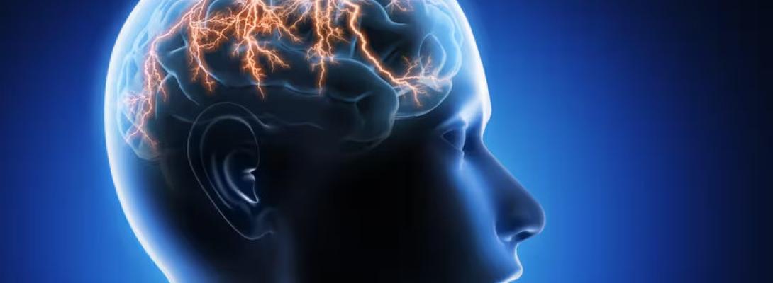 Невтішний прогноз нейробіологів: мозок людини завершує своє формування лише до 32 років