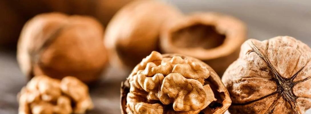 Нове дослідження: споживання волоських горіхів допомагає підтримувати здоров’я