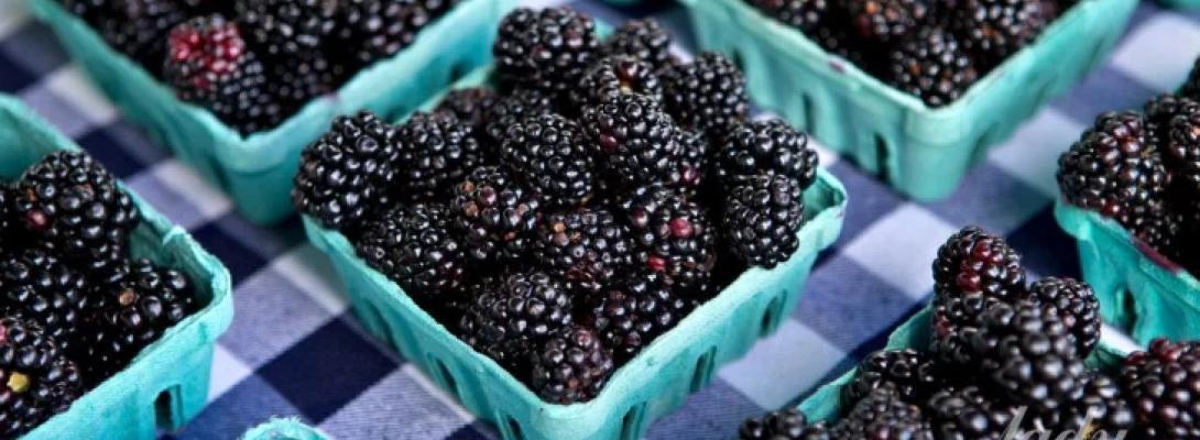 Сидячий спосіб життя шкодить серцю: 6 продуктів, які допоможуть захистити його