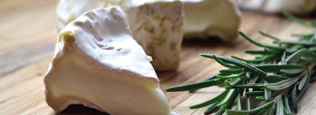 Джерело кальцію та заліза: який сир вважається найкориснішим для людей після 60 років