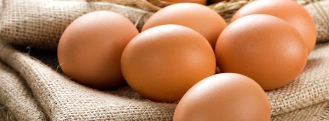 Скільки яєць на день безпечно їсти: лікарі розкрили правду про користь та шкоду продукту
