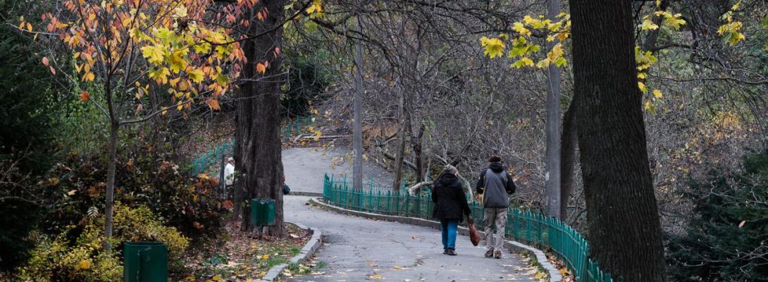 Зимове сонцестояння без морозів: яка погода буде на вихідних і коли прийде холод