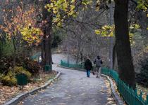 Зимнее солнцестояние без морозов: какая погода будет на выходных и когда придет холод