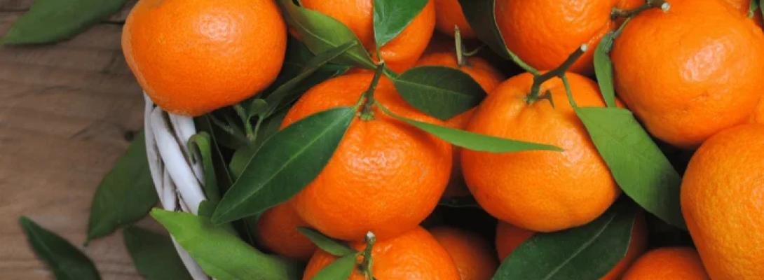 Скільки мандарин на день можна їсти, щоб отримати користь і не нашкодити організму