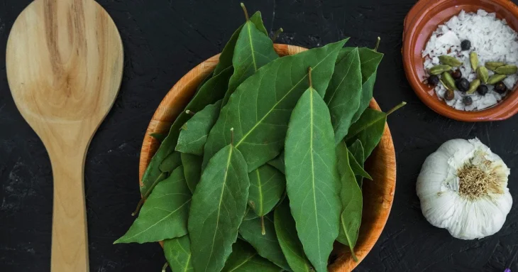 Навіщо заморожувати лавровий лист: секрети досвідчених господинь і професійних кухарів