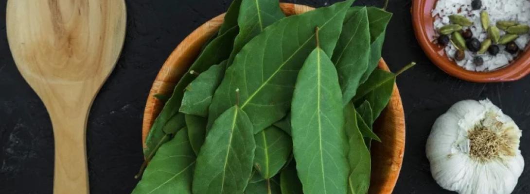 Навіщо заморожувати лавровий лист: секрети досвідчених господинь і професійних кухарів