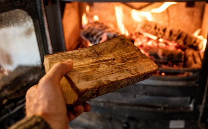 Вдома буде тепло цілу зиму: топ-3 породи дров, що гріють удвічі сильніше і довше
