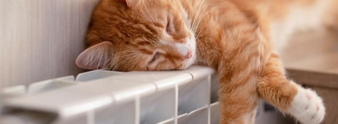 Як зекономити на опаленні: цей простий метод допоможе скоротити рахунки за комуналку